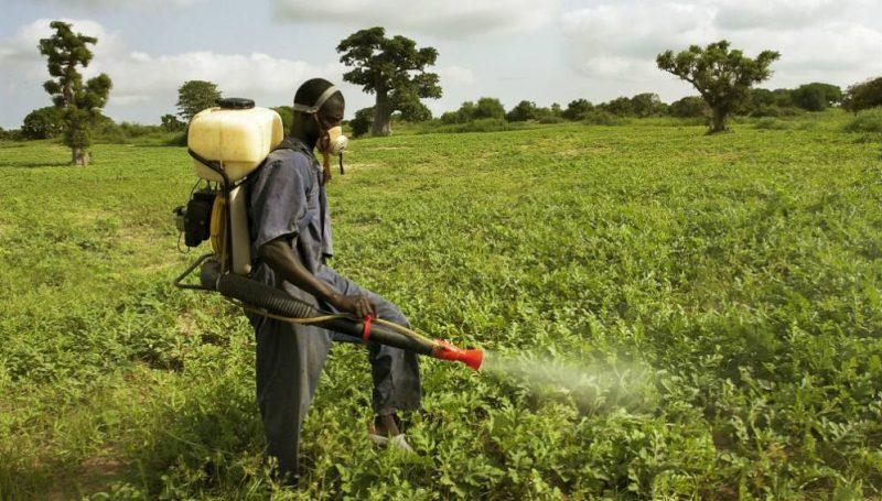 L’Afrique utilise-t-elle vraiment 10% des pesticides dans le monde ?