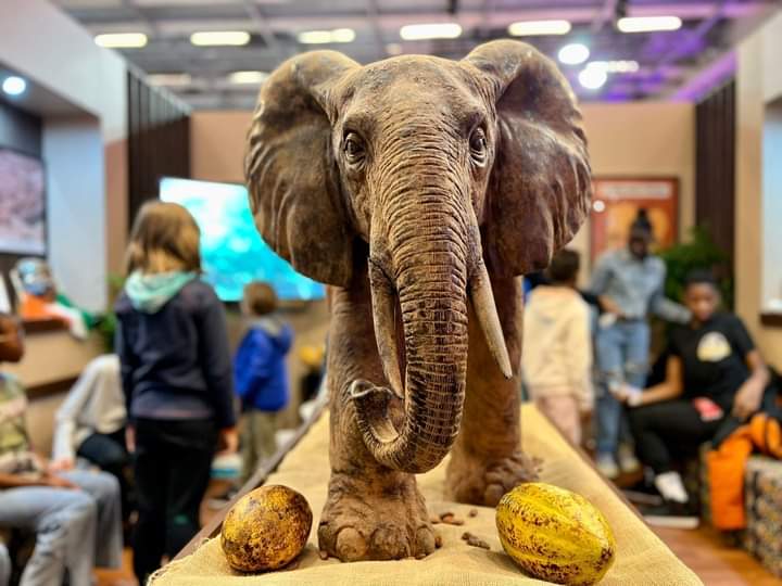 Salon du chocolat 2022 elephant 1