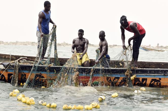 En avril dernier plusieurs communautés de pêcheurs se sont affrontées dans les villes côtières de Kayar et Mboro. La bataille rangée avait fait au moins un mort et plusieurs blessés. Au cœur des tensions : l’utilisation par certains acteurs de filets interdits. Ce conflit vient mettre à jour la raréfaction du poisson dans les eaux sénégalaises.