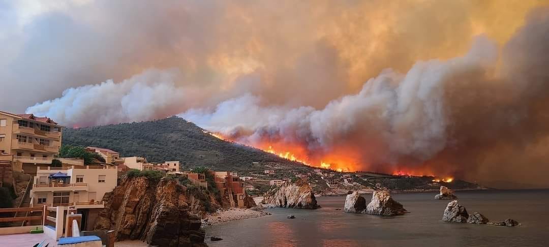 Plus de 34 morts dans de gigantesques incendies de forêts en Algérie