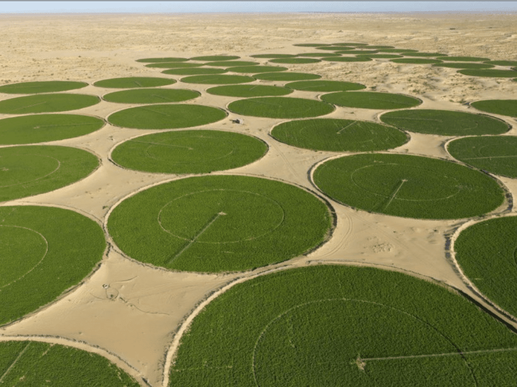 Sahara algerien agriculture