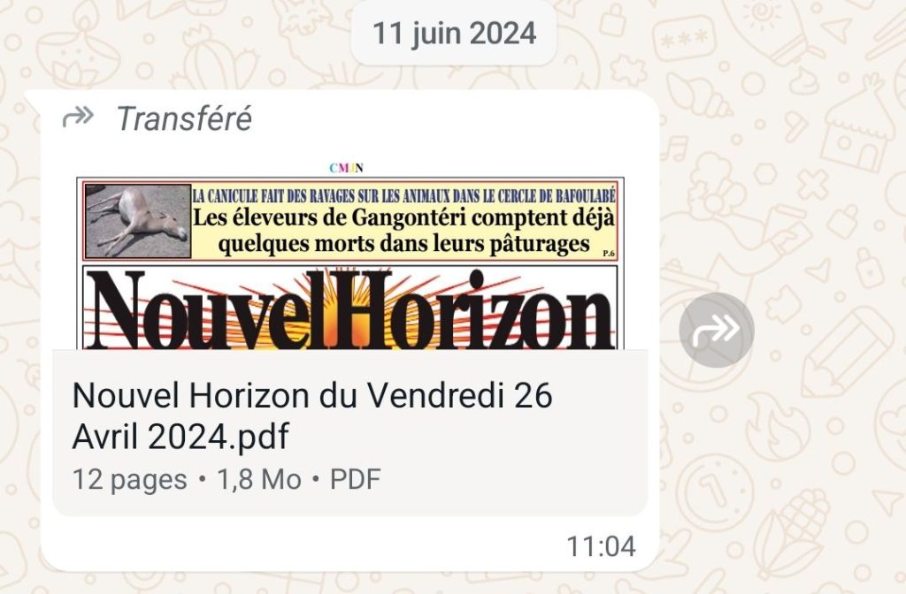 [Enquête] Mali : combien ont coûté les dépenses militaires de l'armée malienne 2023 ?